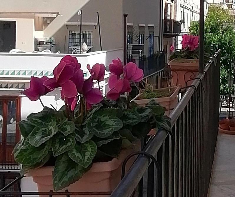 Calimero Luxury Suite Палермо Екстериор снимка